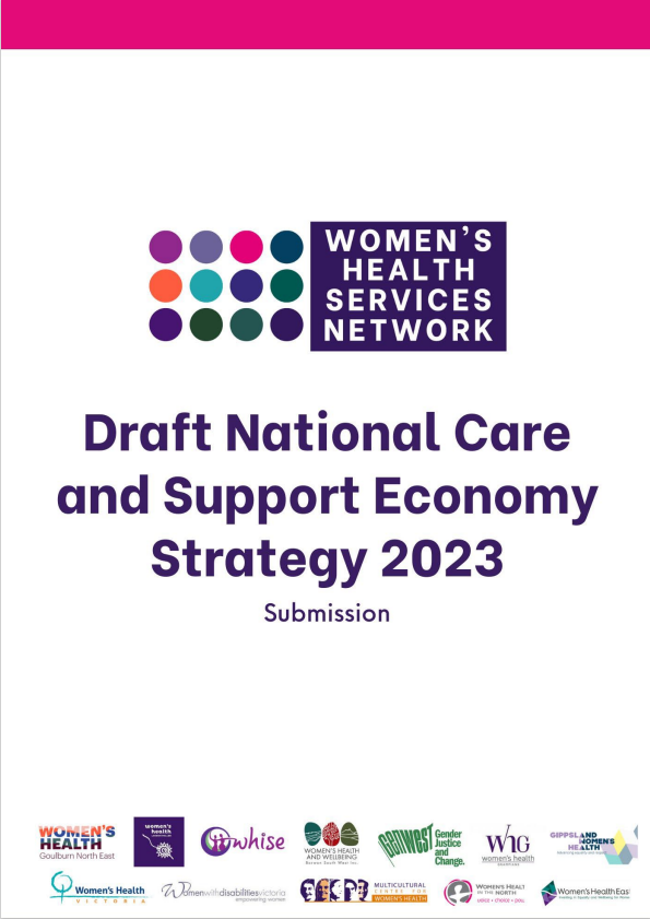 Front cover of WHSN submission, purple text on white background with logos of supporting organizations down the bottom 