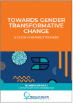 Towards gender transformative change: a guide for practitioners cover  image