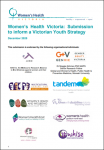 WHV Youth Strategy submission front page with logos of organisations who endorsed the submission